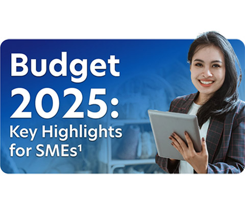 Budget 2025: Key Highlights for SMEs & Microentrepreneurs