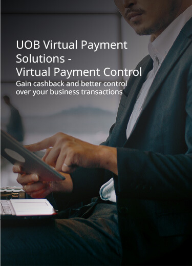 Virtual Payment Control banner mobile dark