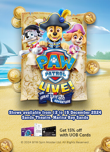 Paw Patrol Live! The Great Pirate Adventure