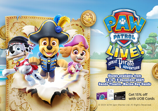 Paw Patrol Live! The Great Pirate Adventure